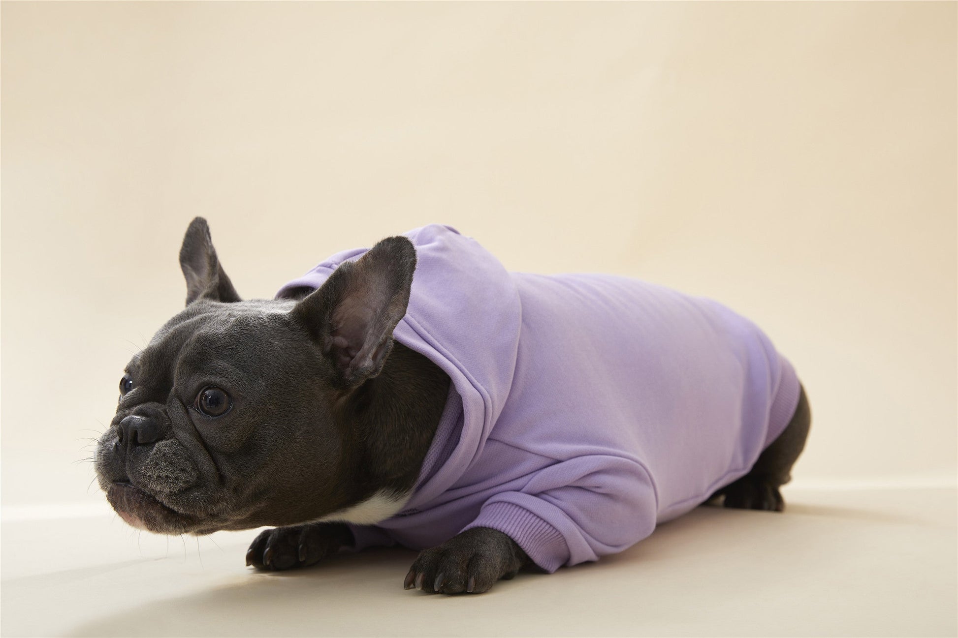 Hoodie with Slogan for Mom