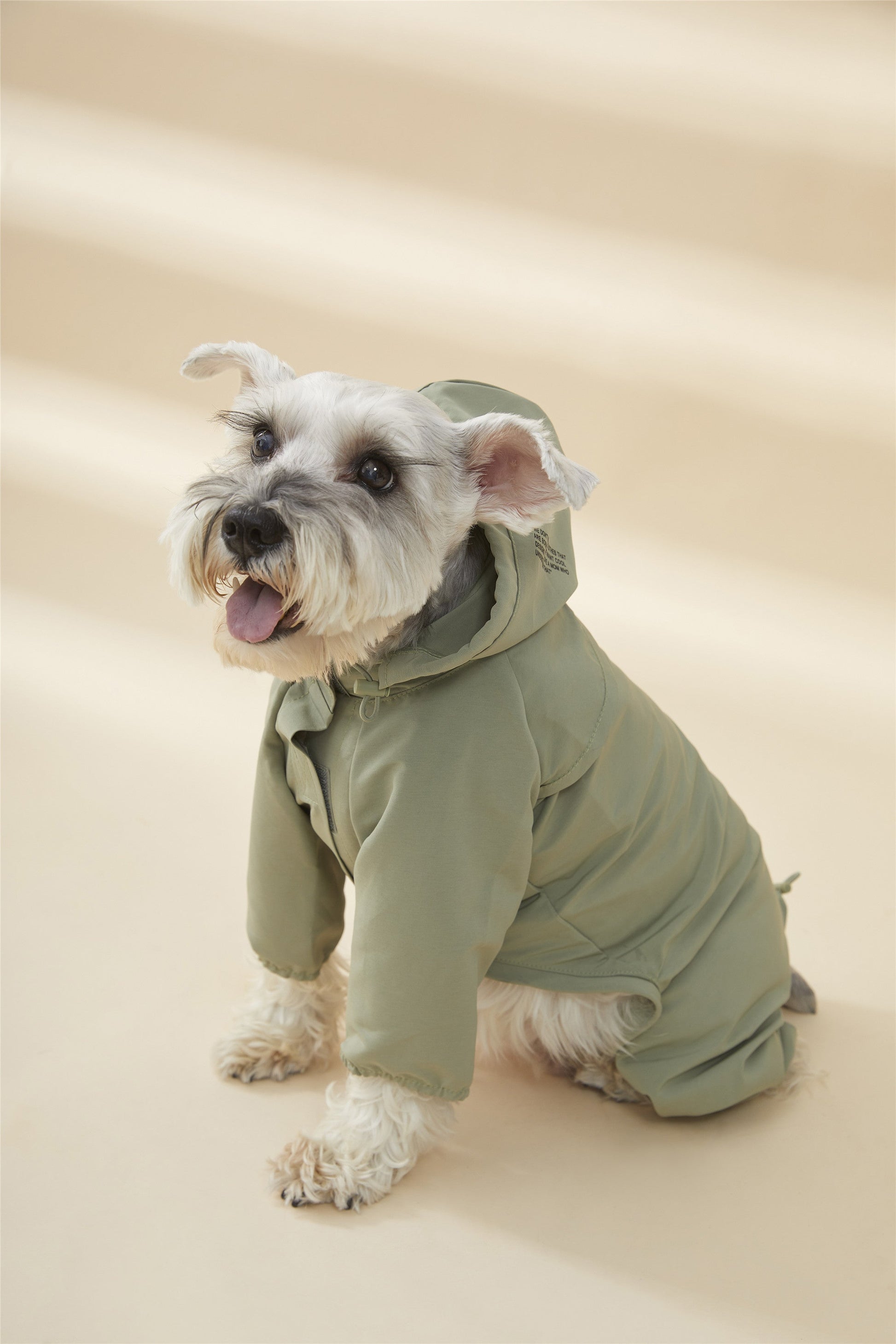 Waterproof Dog Coat with Hood and Four Leg Fit