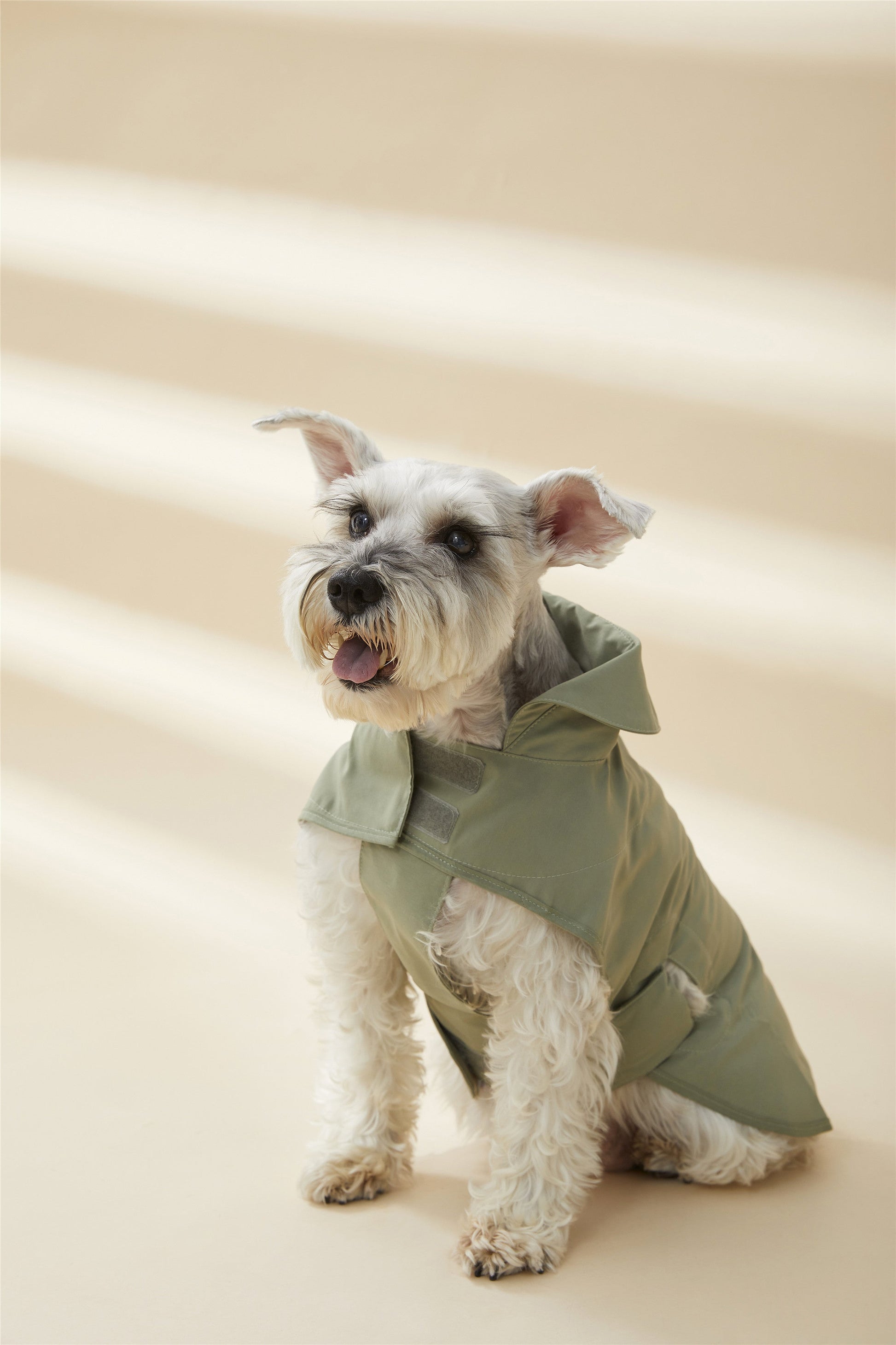 Adjustable Thin Coat in Green