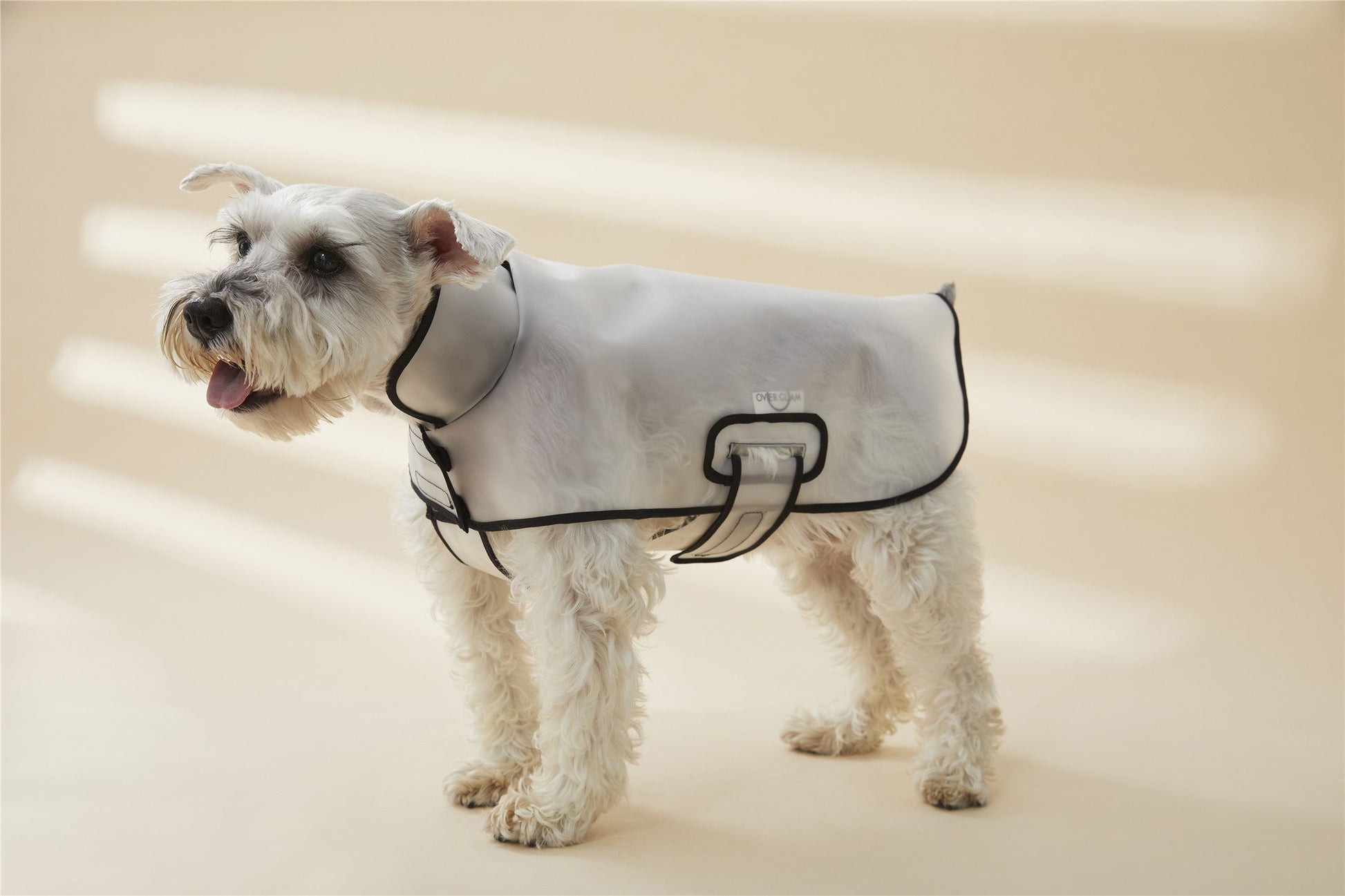 Adjustable Translucent Thin Coat