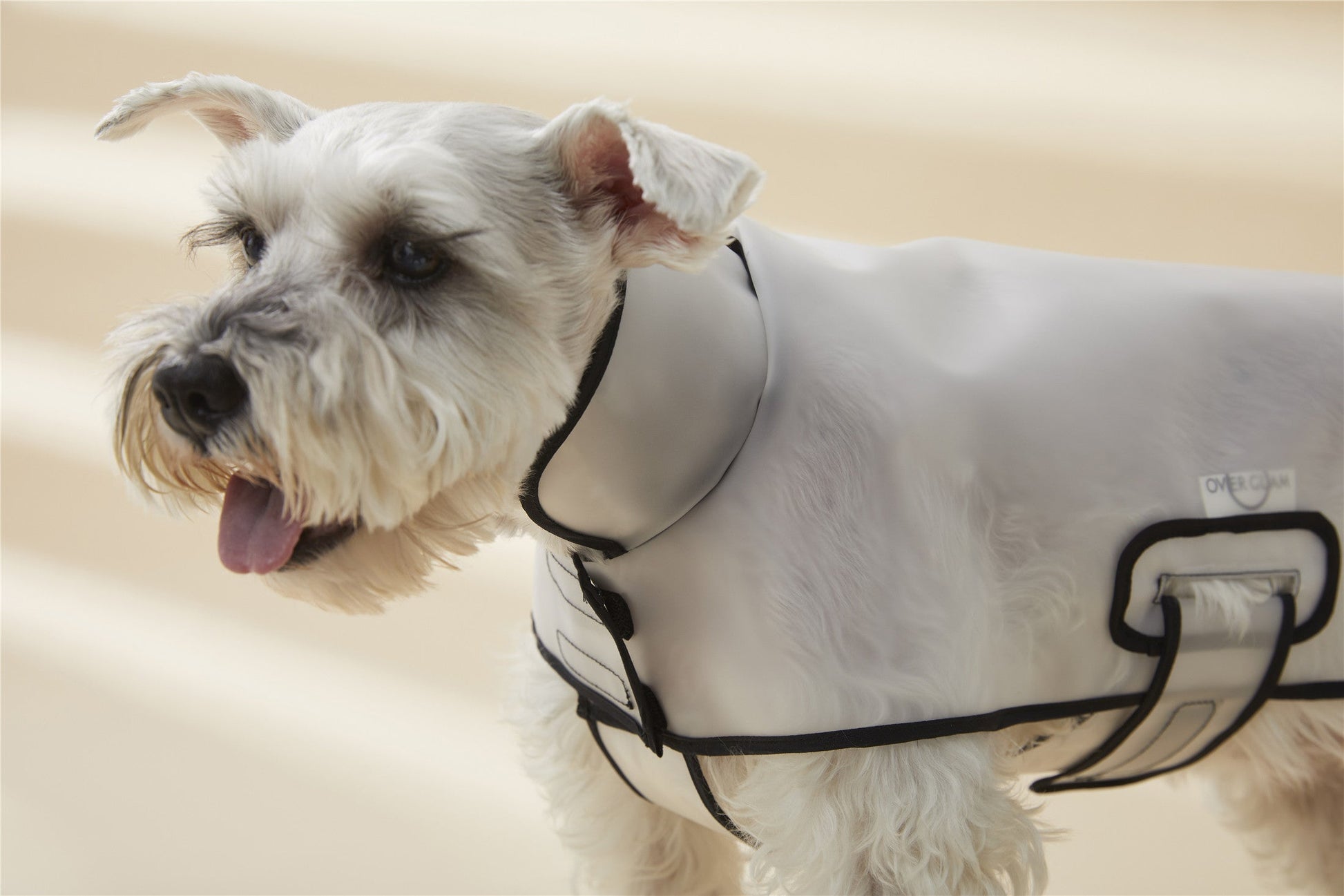 Adjustable Translucent Thin Coat