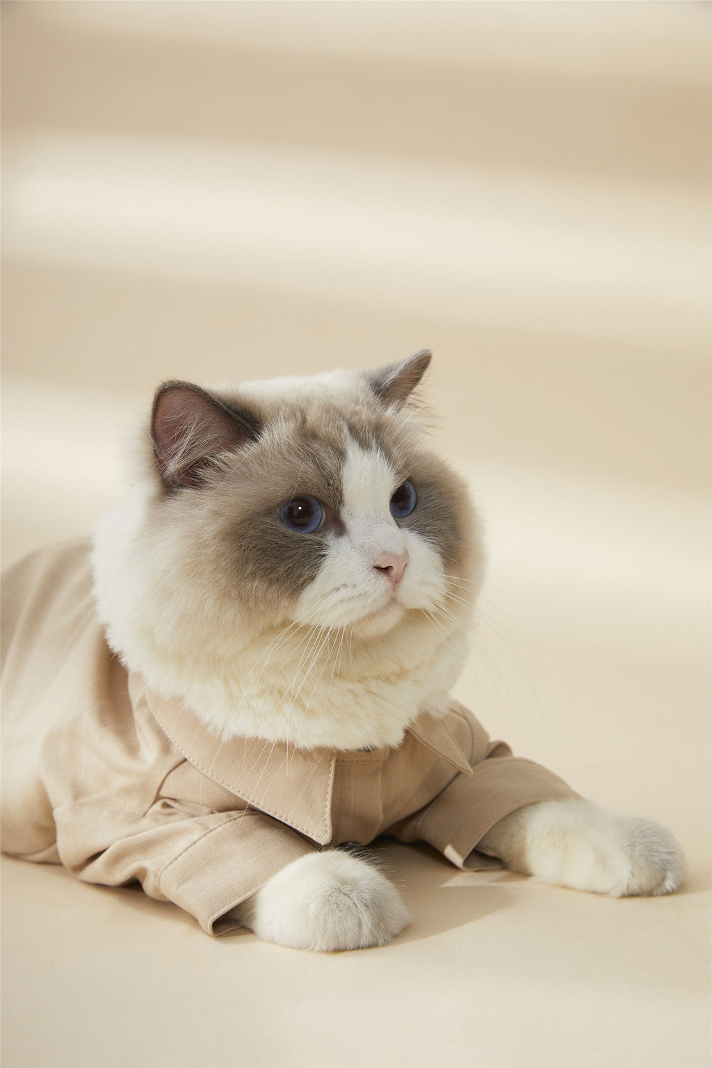 Striped Shirt in Apricot with Black Buttons