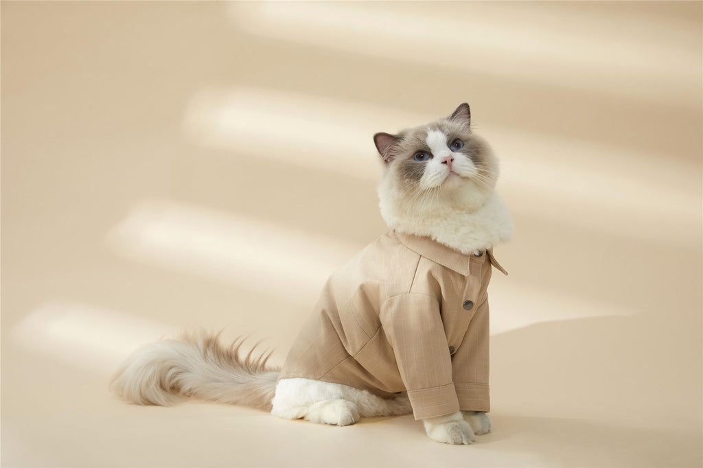 Striped Shirt in Apricot with Black Buttons