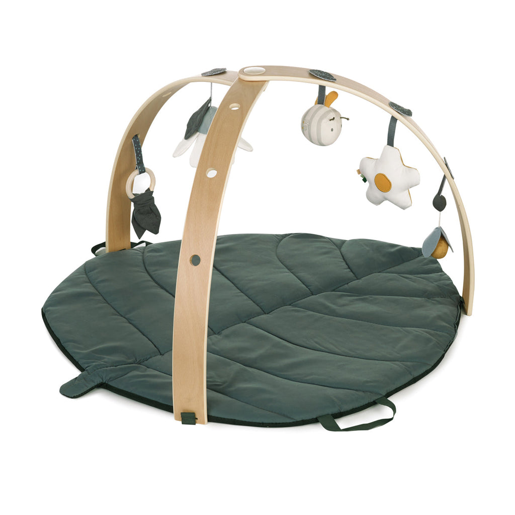 Baby Play Mat with Activity Gym and Toys