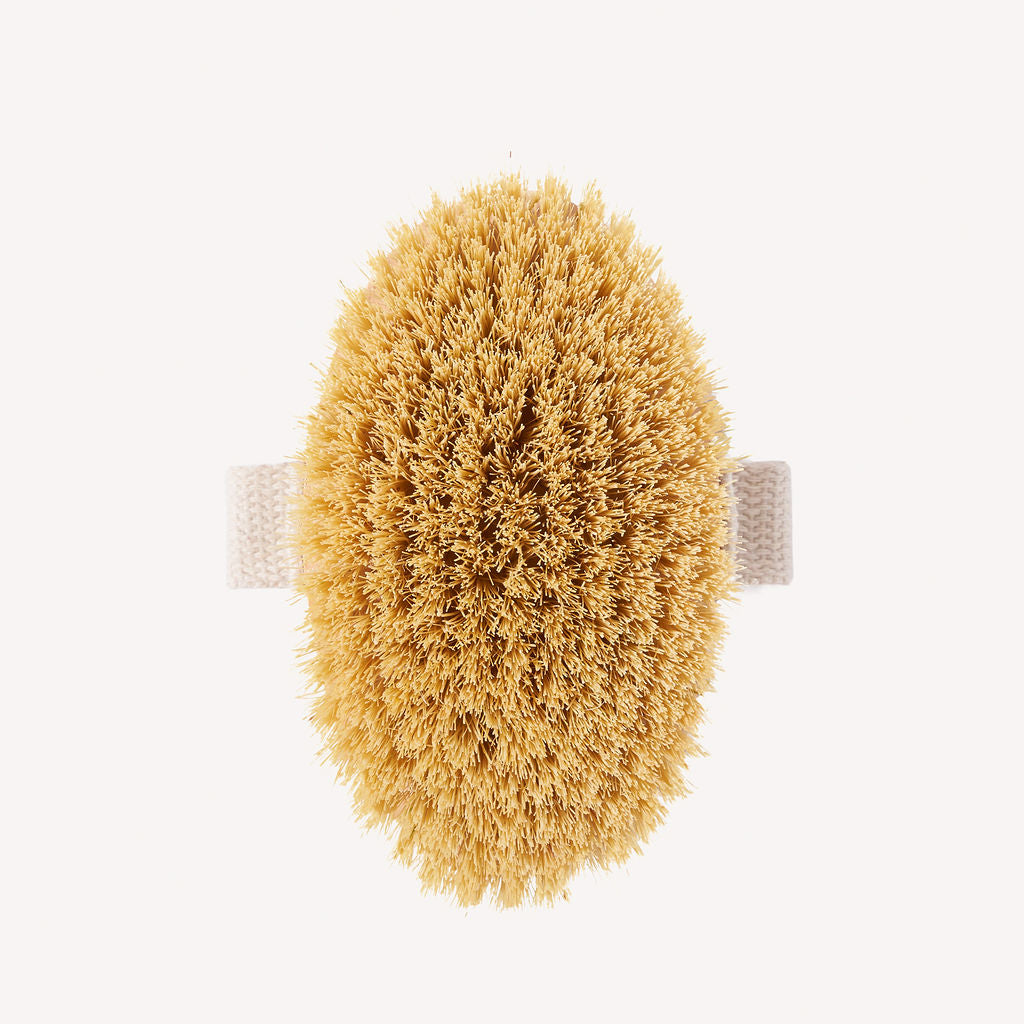 Natural Bristle Dry Body Brush