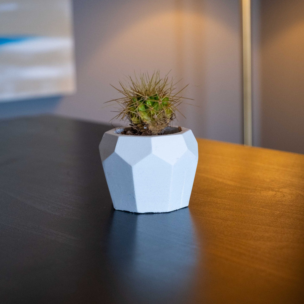 White Concrete Bee Home Pot