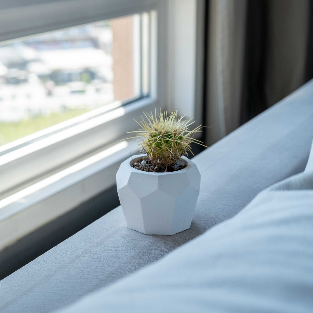 White Concrete Bee Home Pot