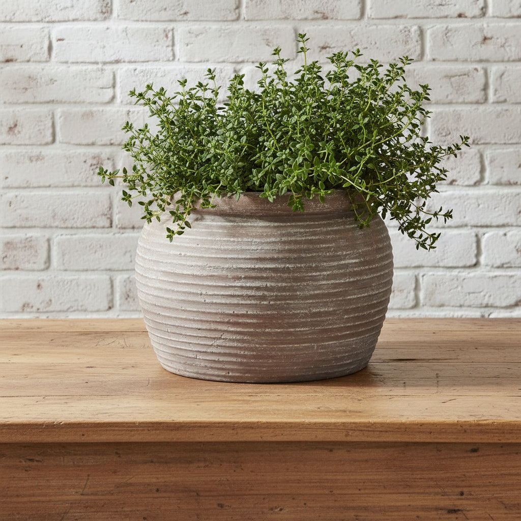 Brown ceramic plant pot planter with rustic rim, 20cm height, Mediterranean style for real or artificial flowers.by sostter at brixbailey.com