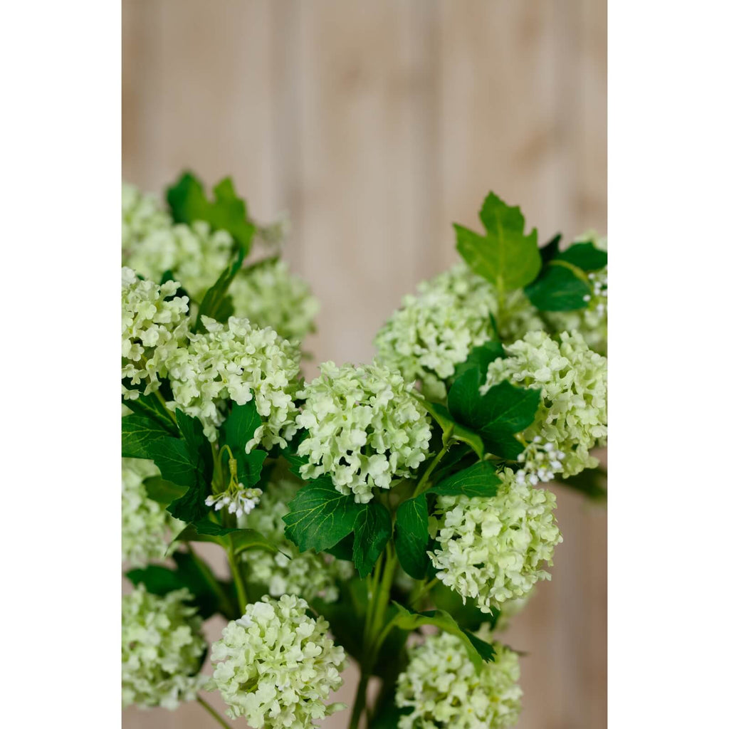 Green Snowball Viburnum faux floral spray with lifelike clusters, rich green hues, and realistic texture for home decor by sostter at brixbailey.com