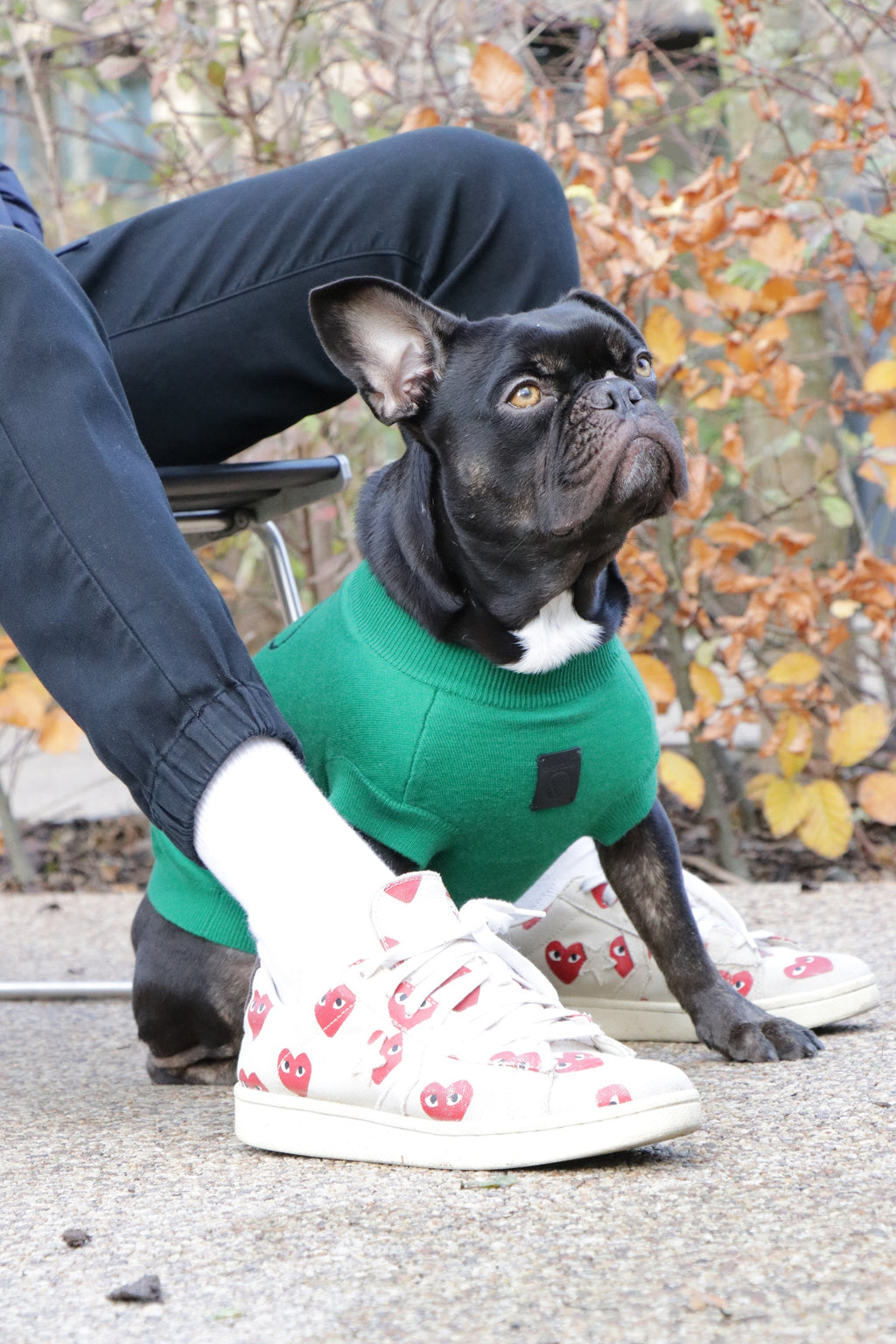 Smile Jumper in Emerald Green and Olive