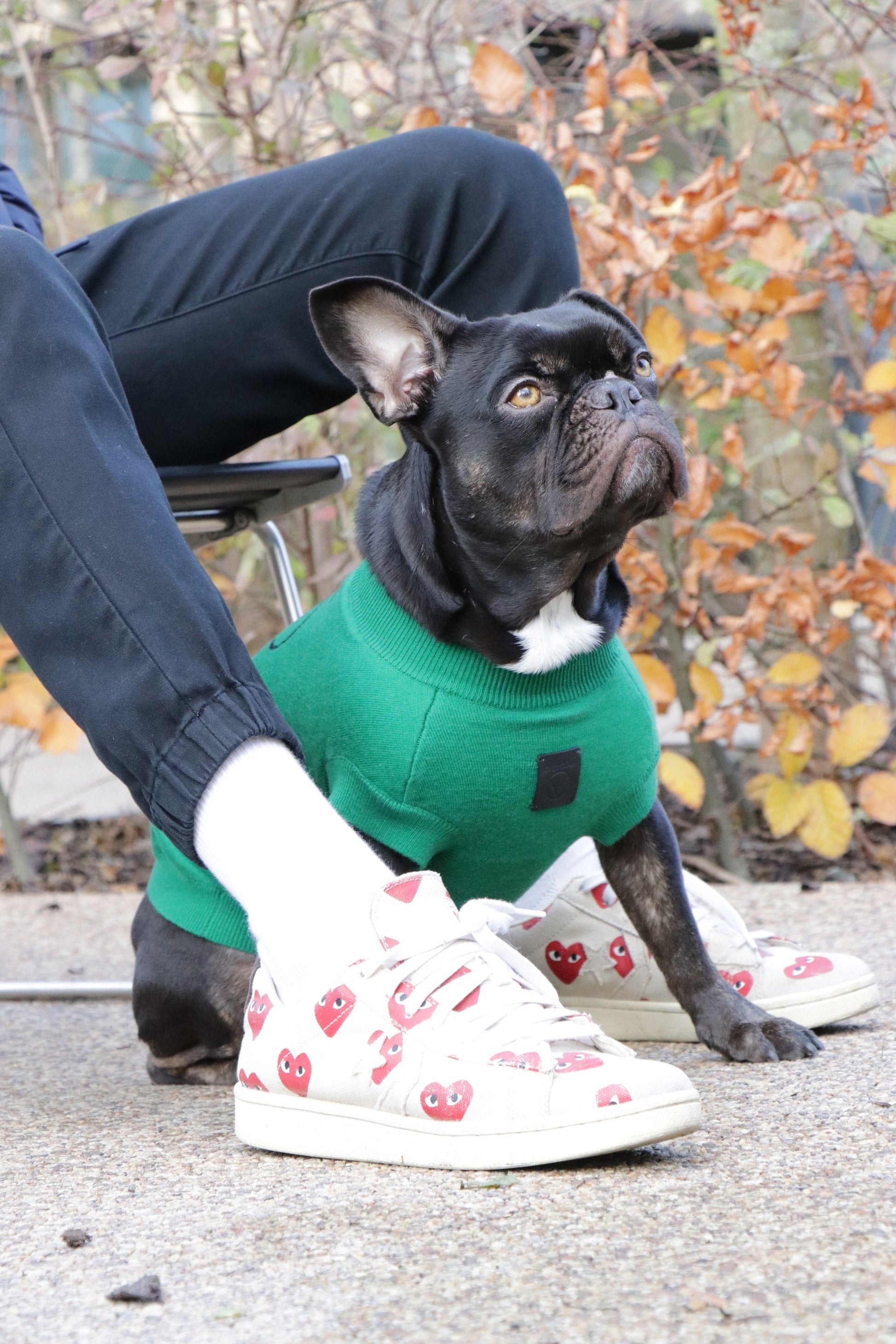 Smile Jumper in Emerald Green and Olive