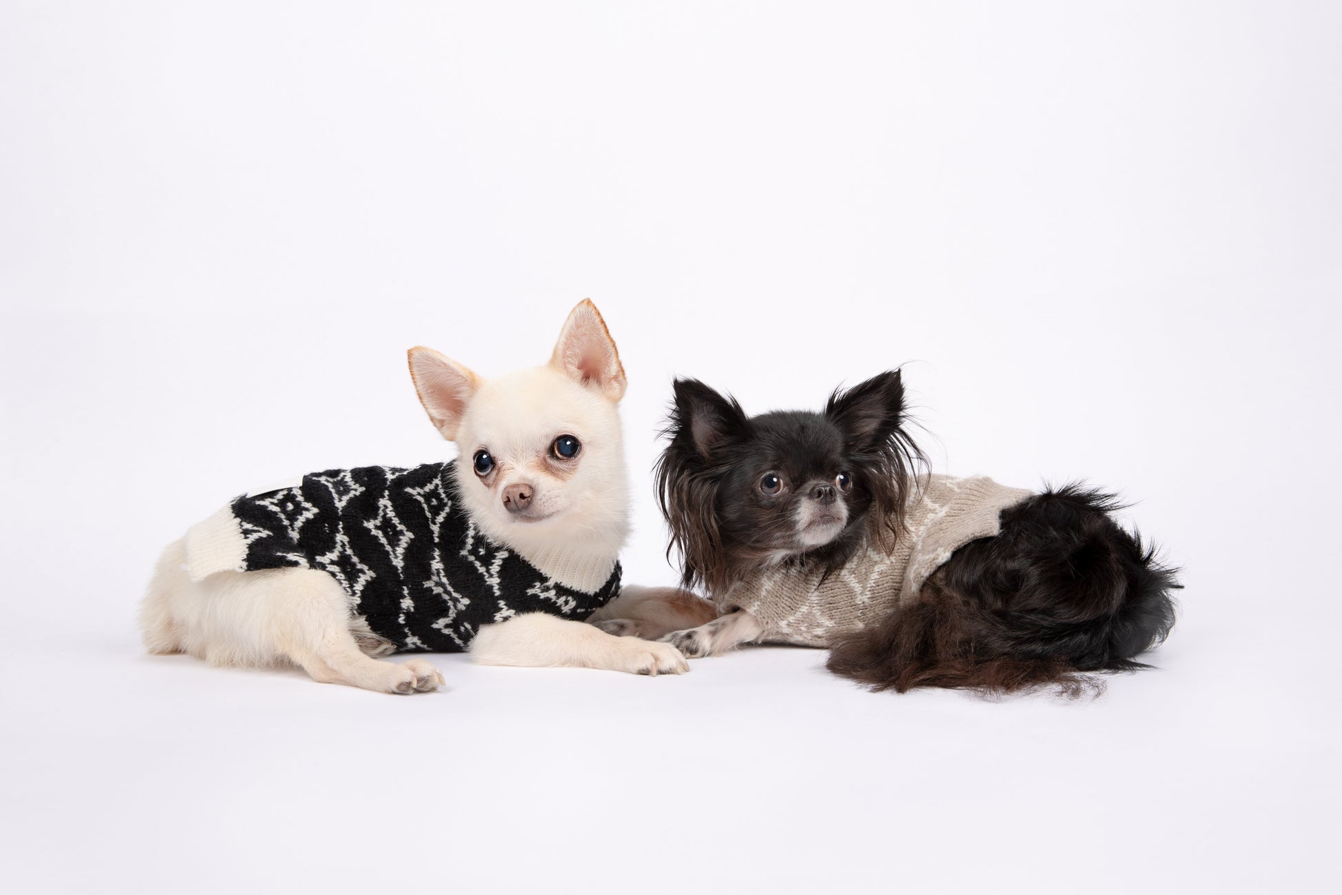 You Are Not Alone Sleeveless Jumper with Floral Pattern