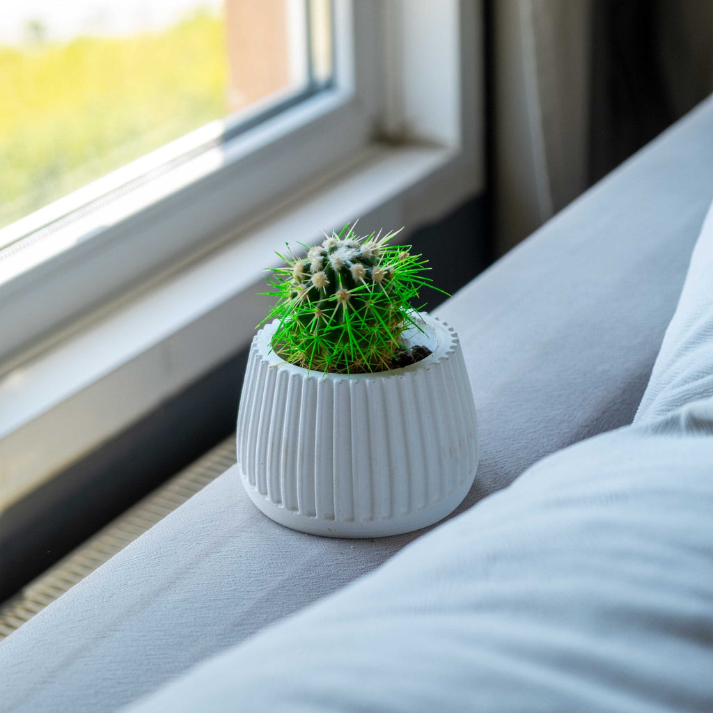 White Concrete Mug Planter Pot