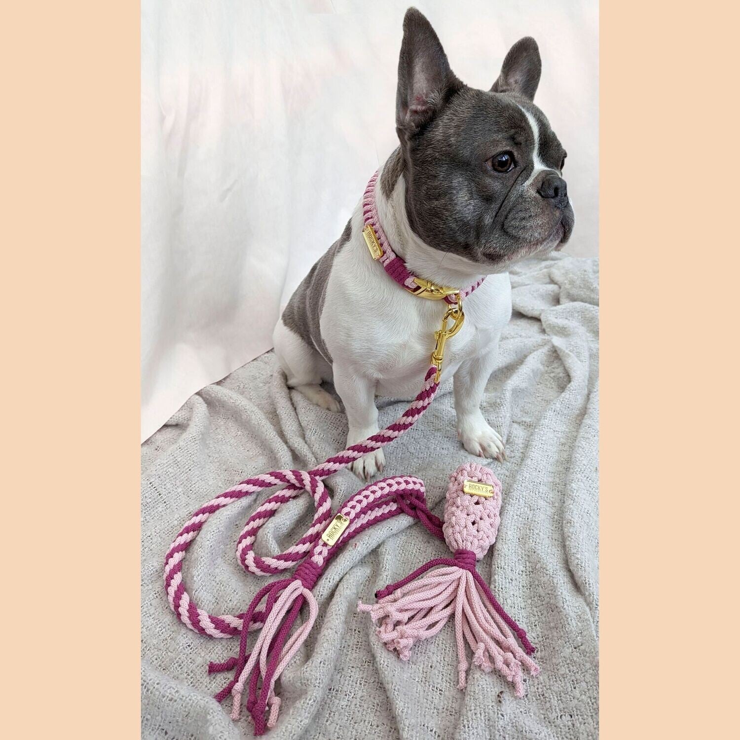 Make Your Own Dog Collar Craft Kit in Pink
