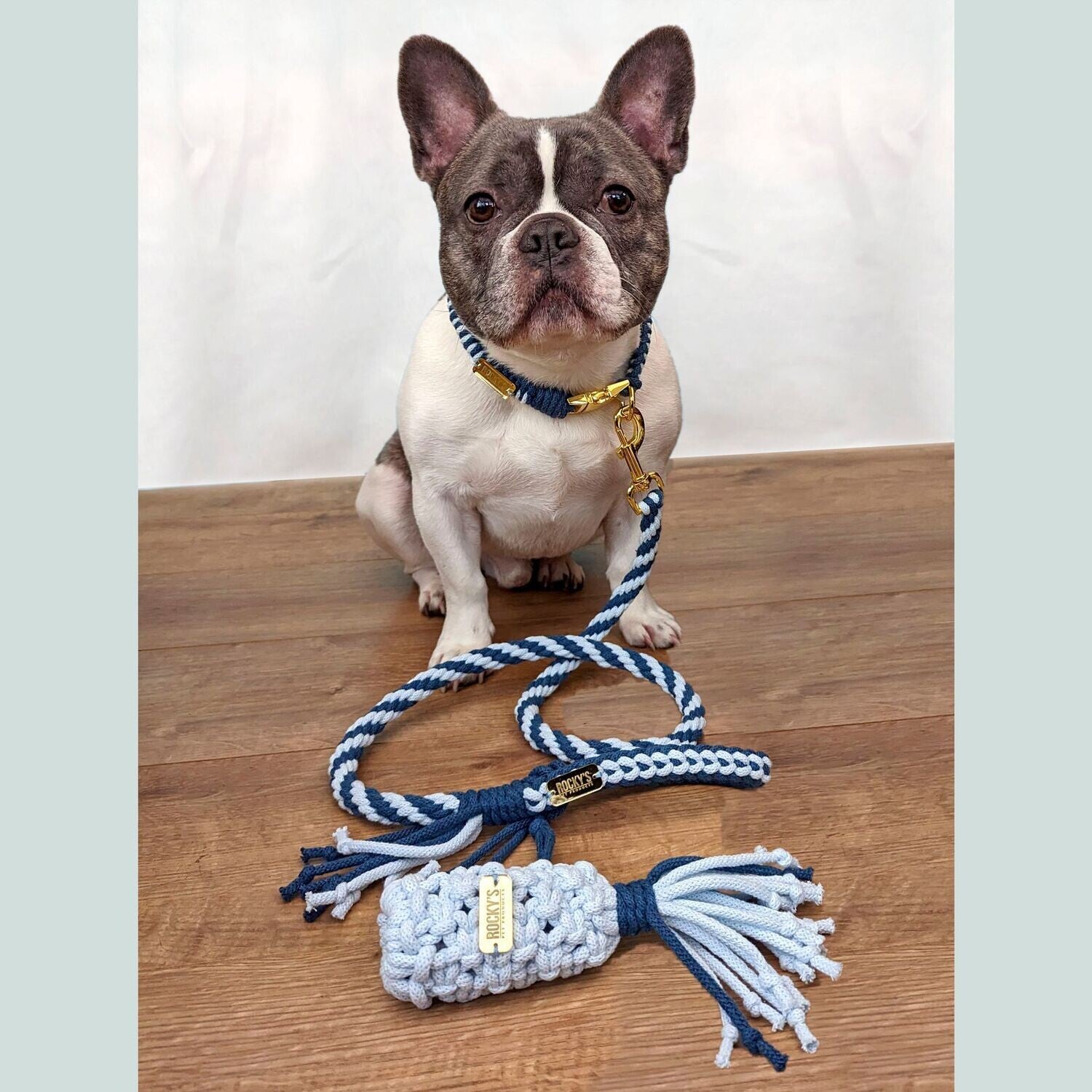 Make Your Own Dog Lead Craft Kit in Blue