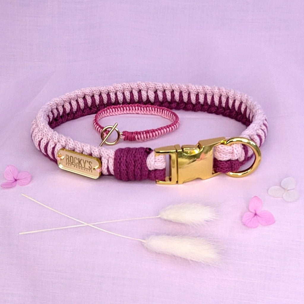 Make Your Own Dog Collar and Friendship Bracelet Craft Kit in Pink