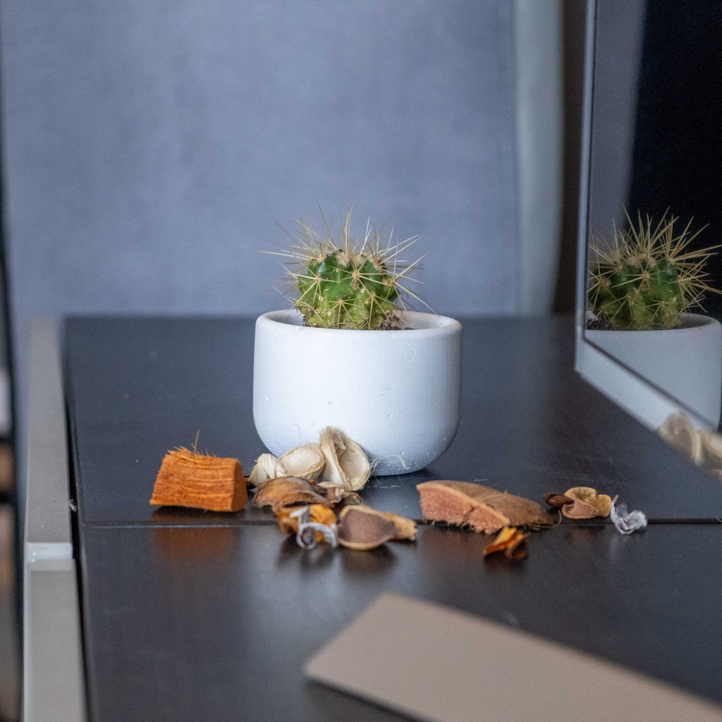 Small White Concrete Dolphin Pot