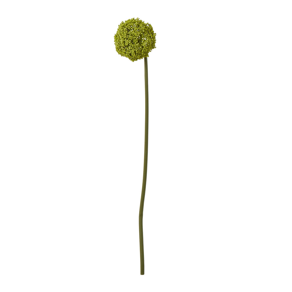 Green Allium Stem faux floral with spherical bloom, natural green color, 75cm tall for vase arrangements by sostter at brixbailey.com