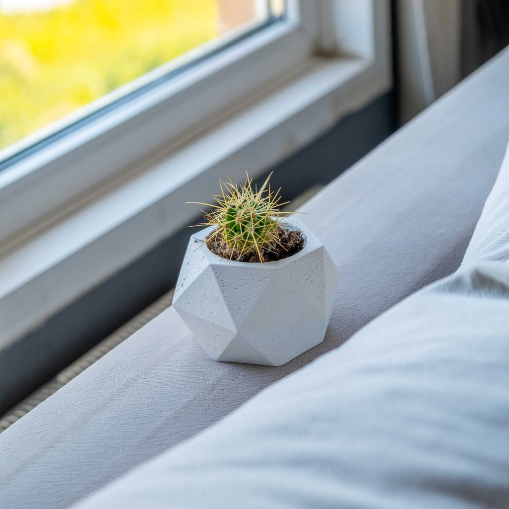 White Concrete Polygonal Pot