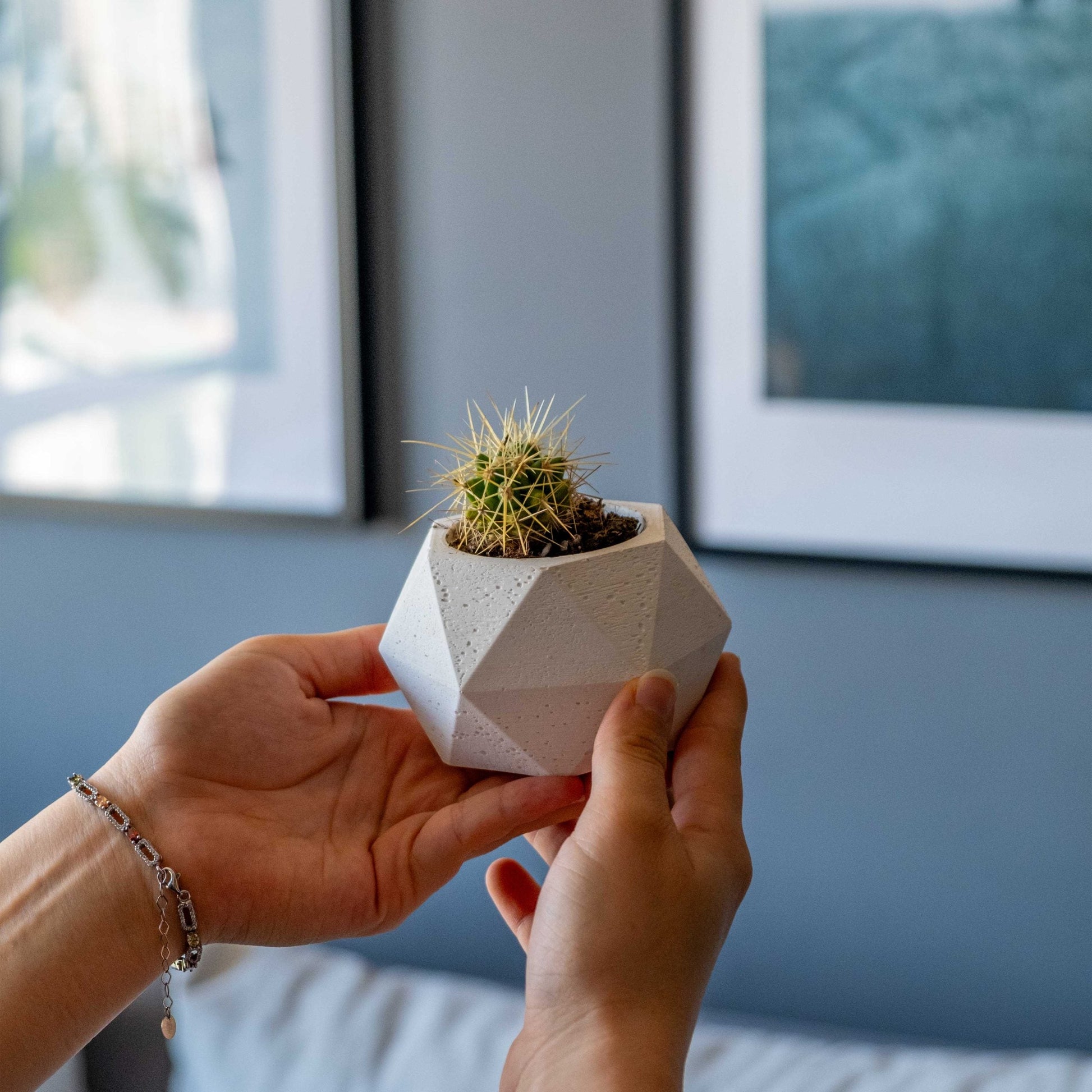 White Concrete Polygonal Pot