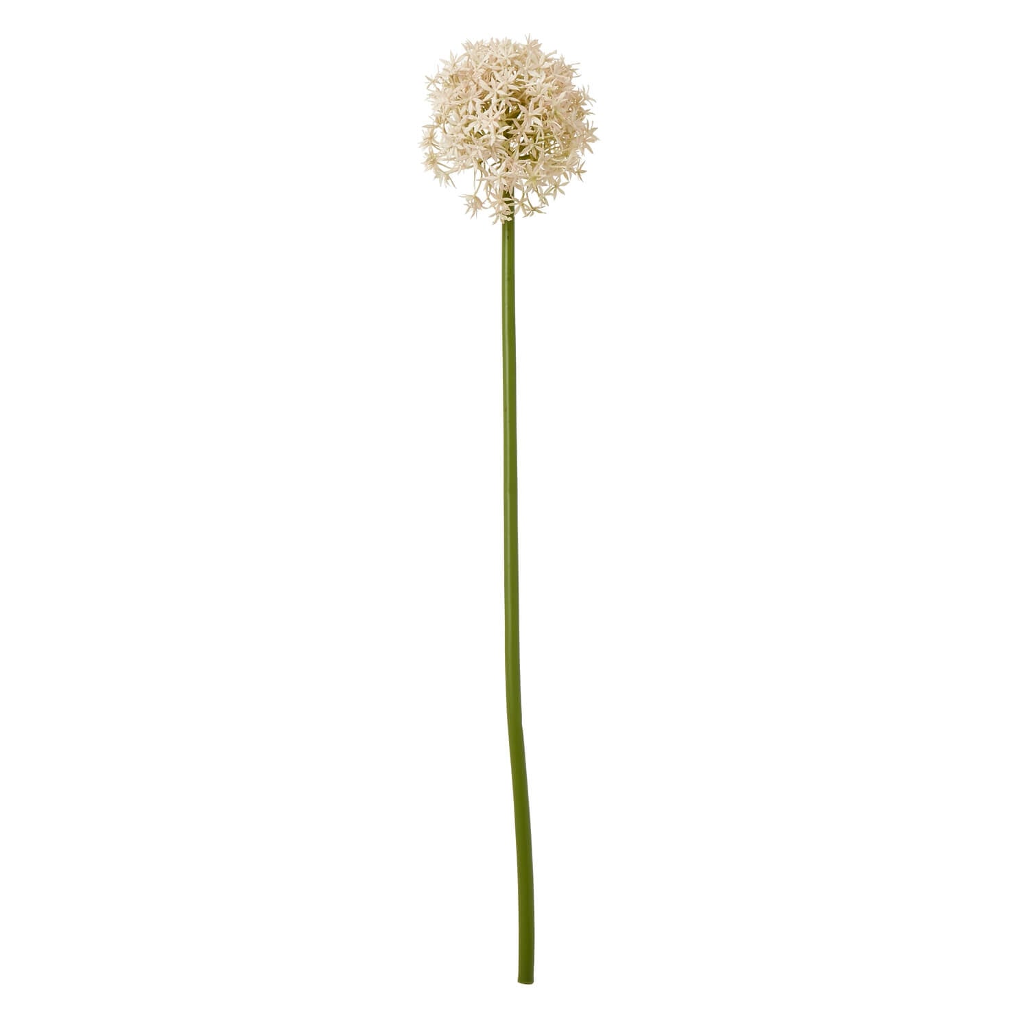 Pink medium allium stem with lifelike spherical bloom, soft pink and ivory florets, 80cm tall, perfect for home decor. by Sostter at brixbailey.com