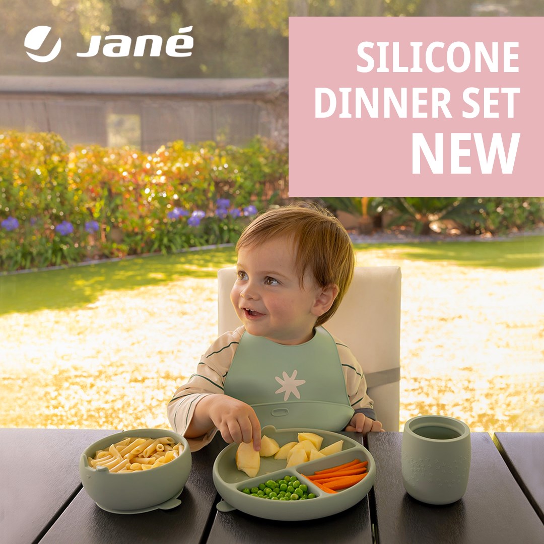 4 Piece Silicone Dinner Set for Children