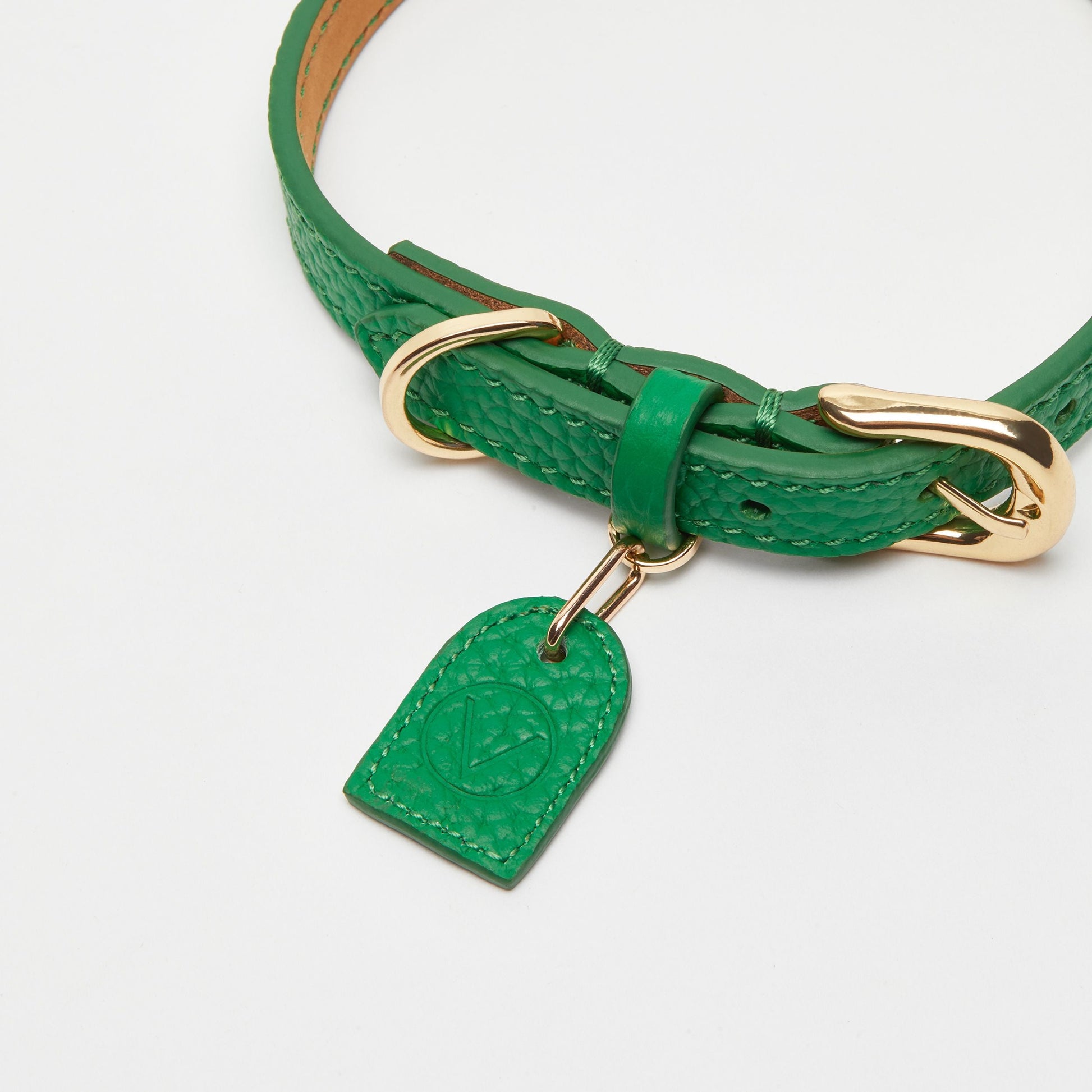 Leather Collar with Gold and Silver Hardware