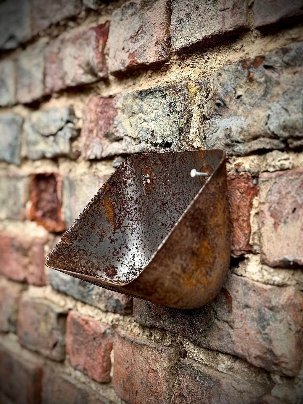 Vintage Rusty Metal Wall Mounted Planter and Key Holder