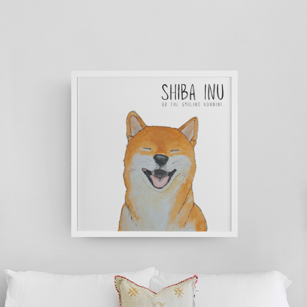 Shiba Inu Wall Print Escape Artist Elegance