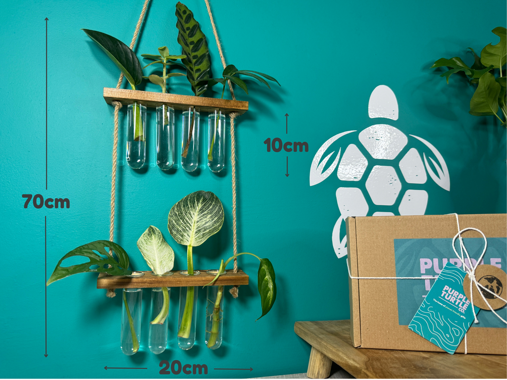 Plant Propagation Gift Set for Home Growers