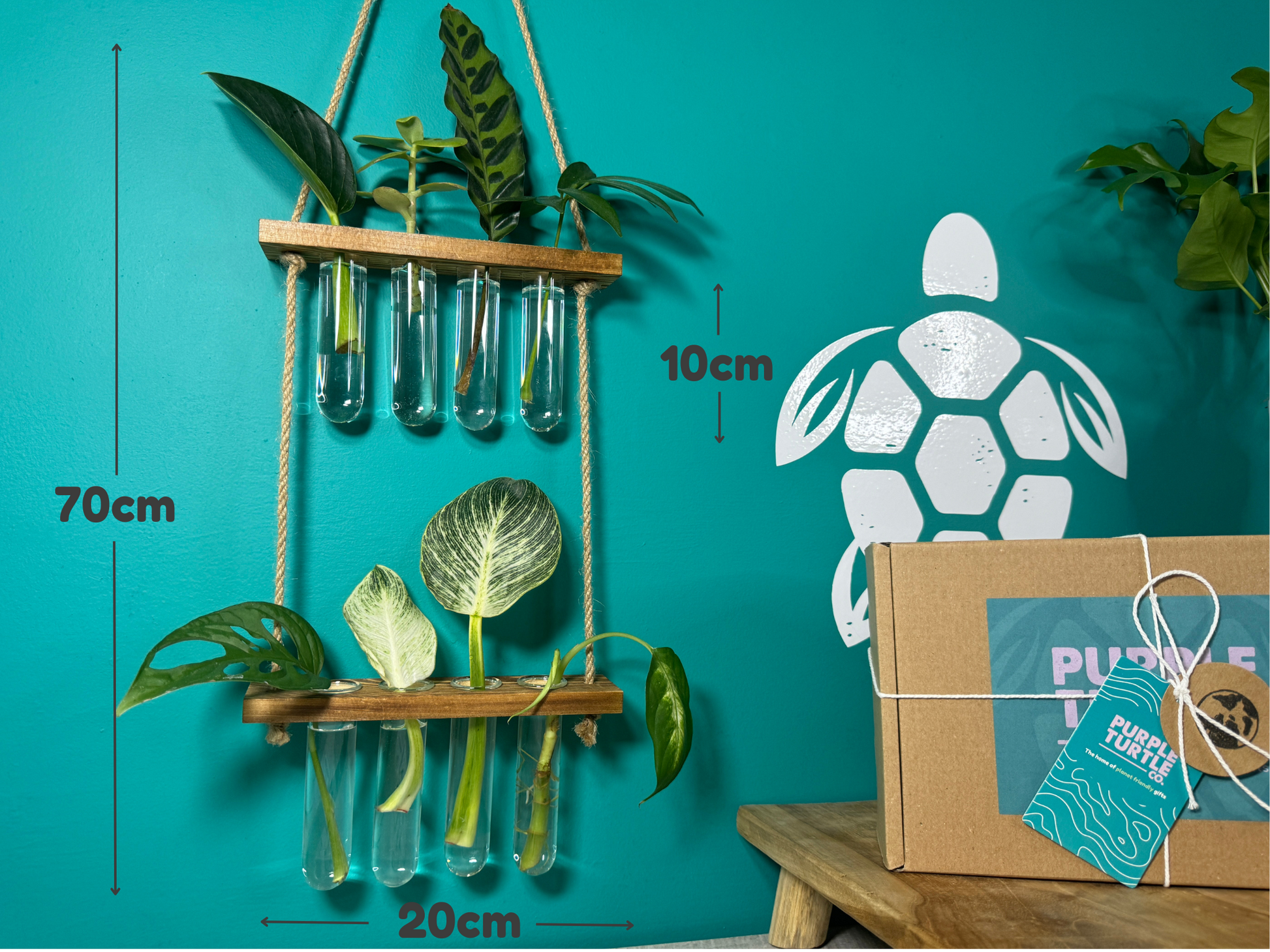 Plant Propagation Gift Set for Home Growers