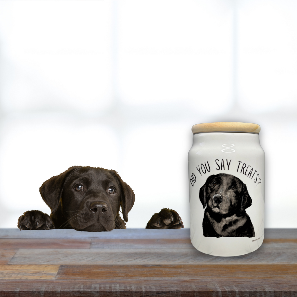In Case of Emergency Break for Biscuits Ceramic Treat Jar