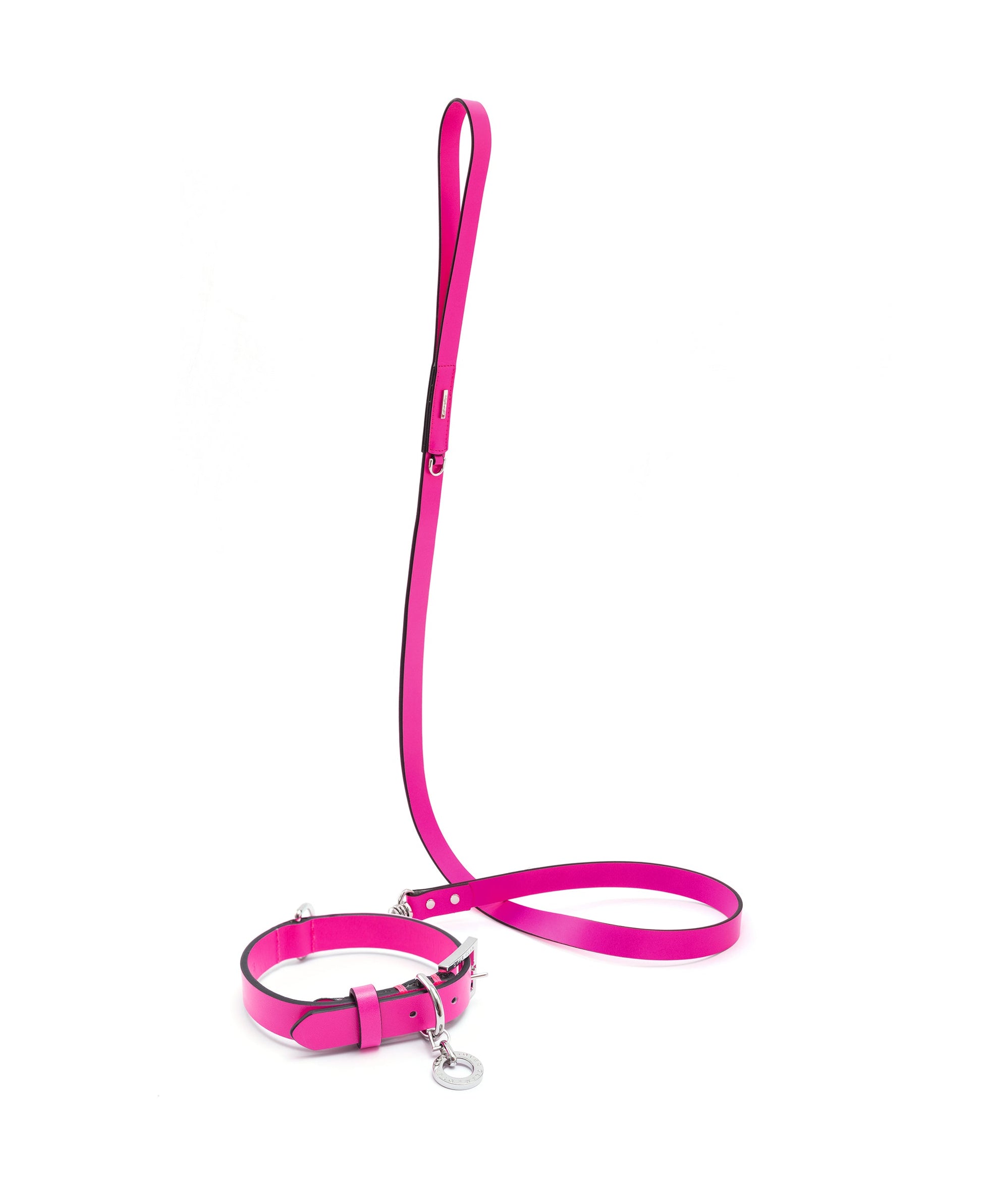 Premium Leather Lead and Collar Set