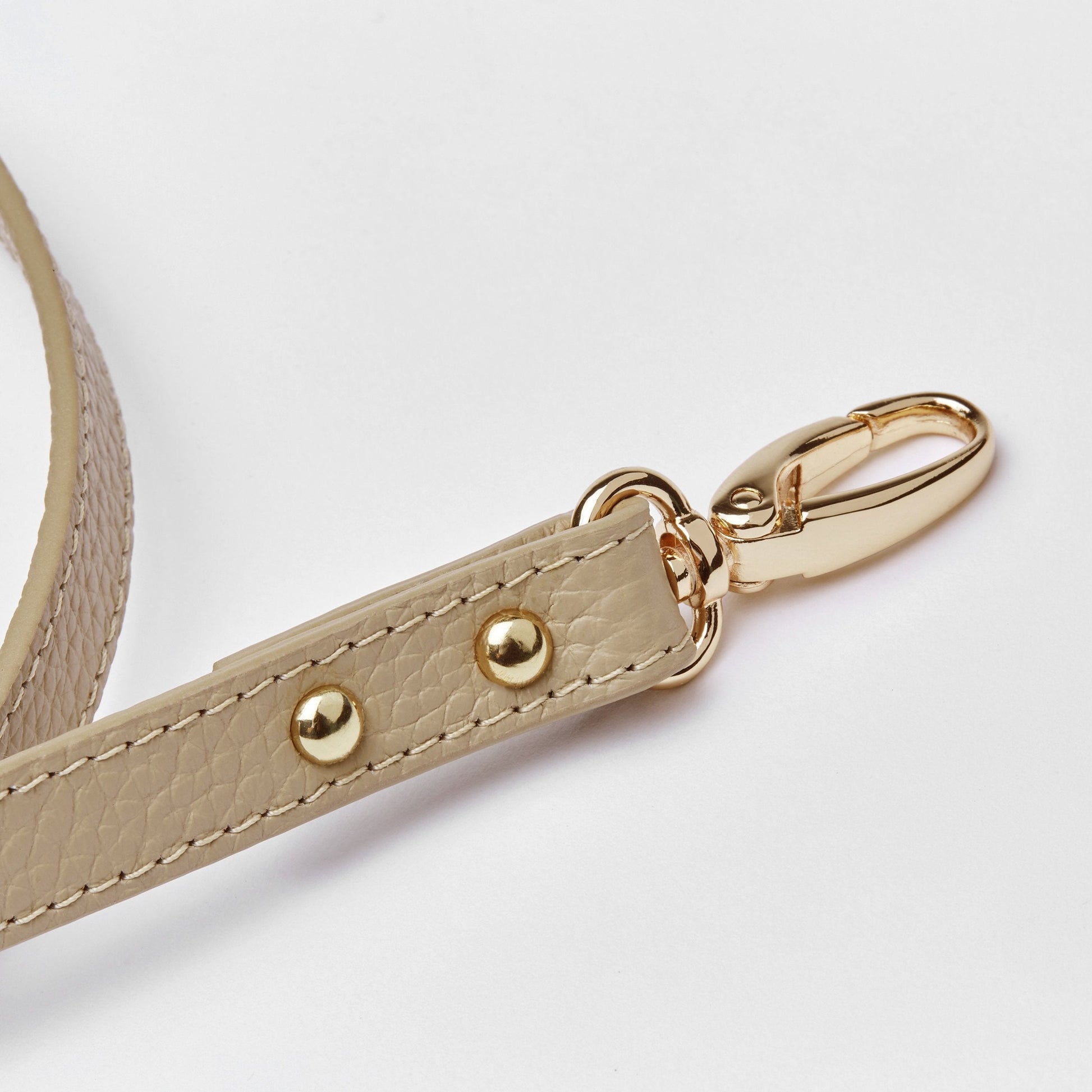 Leather Lead in Six Colours