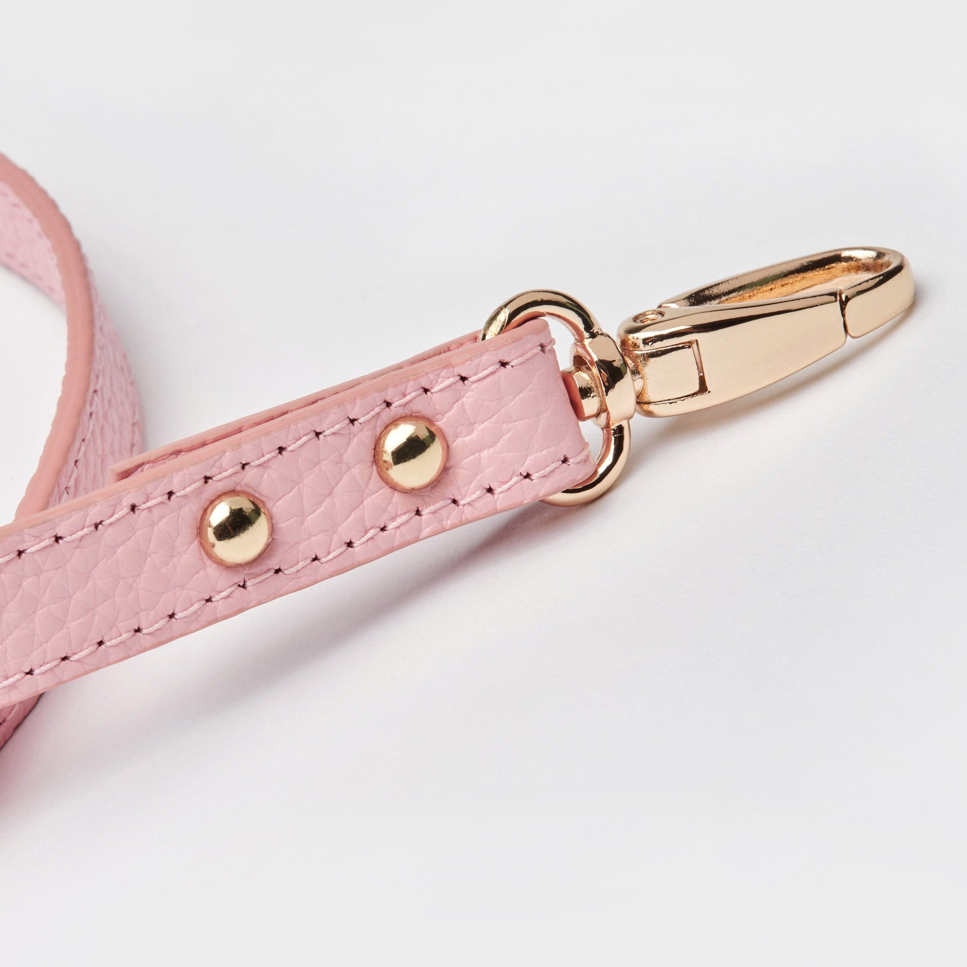 Leather Lead in Six Colours