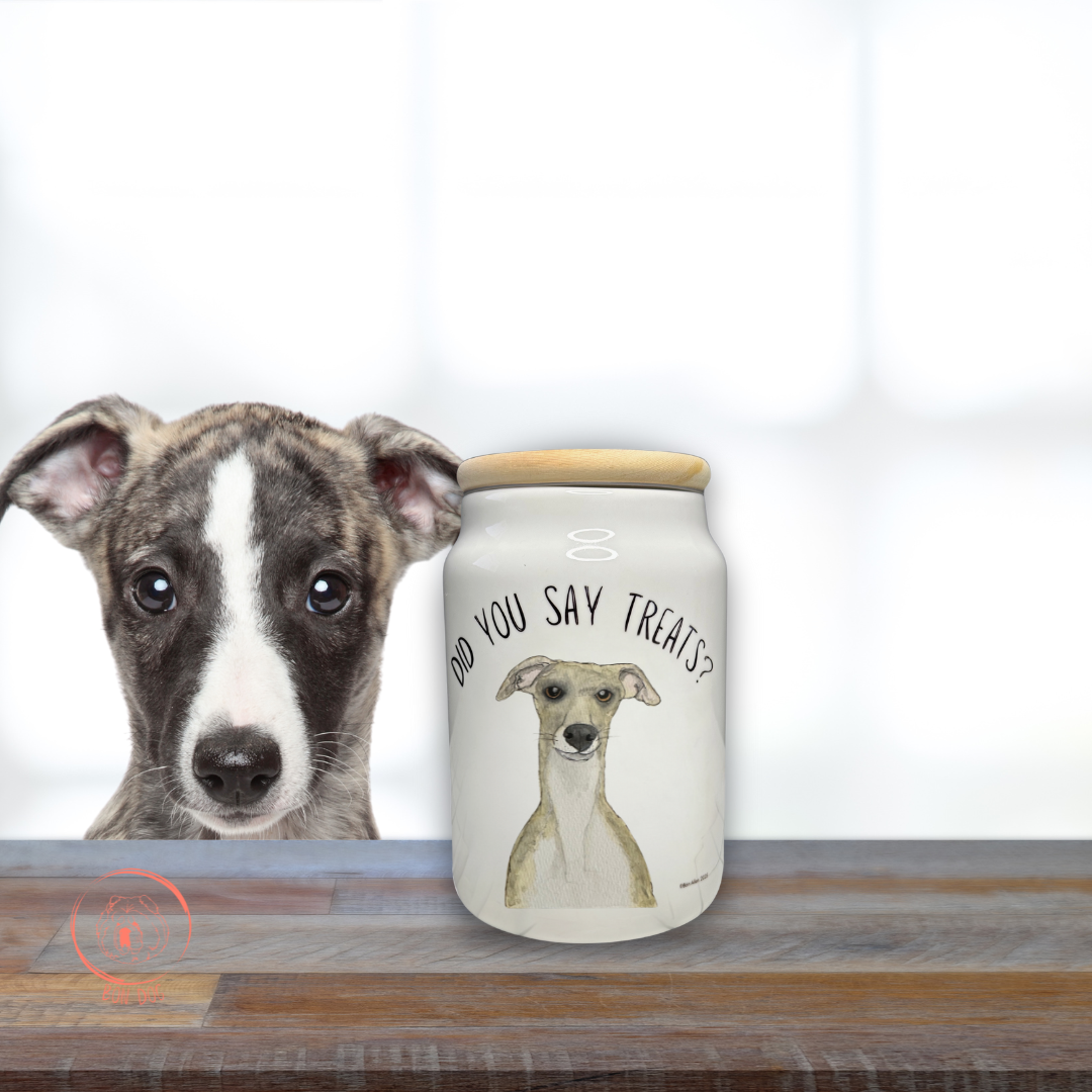 Ceramic Treat Jar with Wooden Lid for Dogs