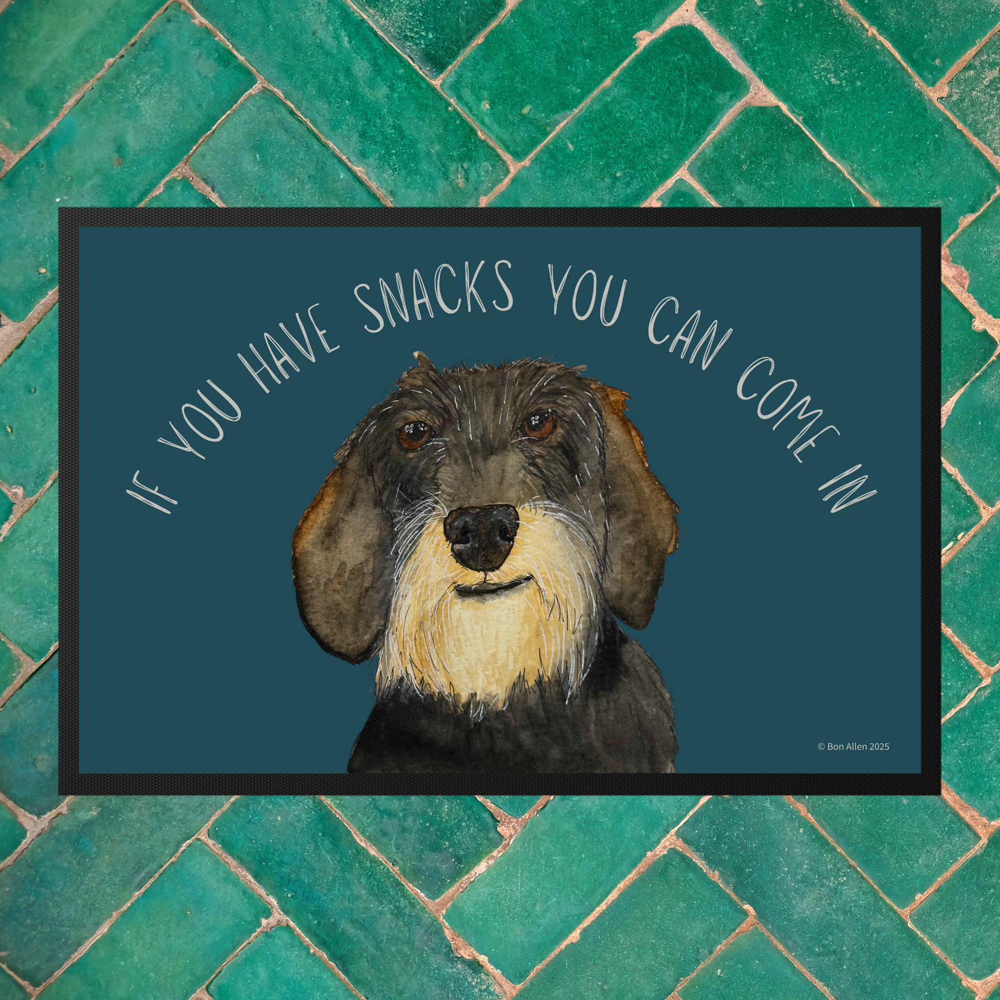 If You Have Snacks You Can Come In Doormat