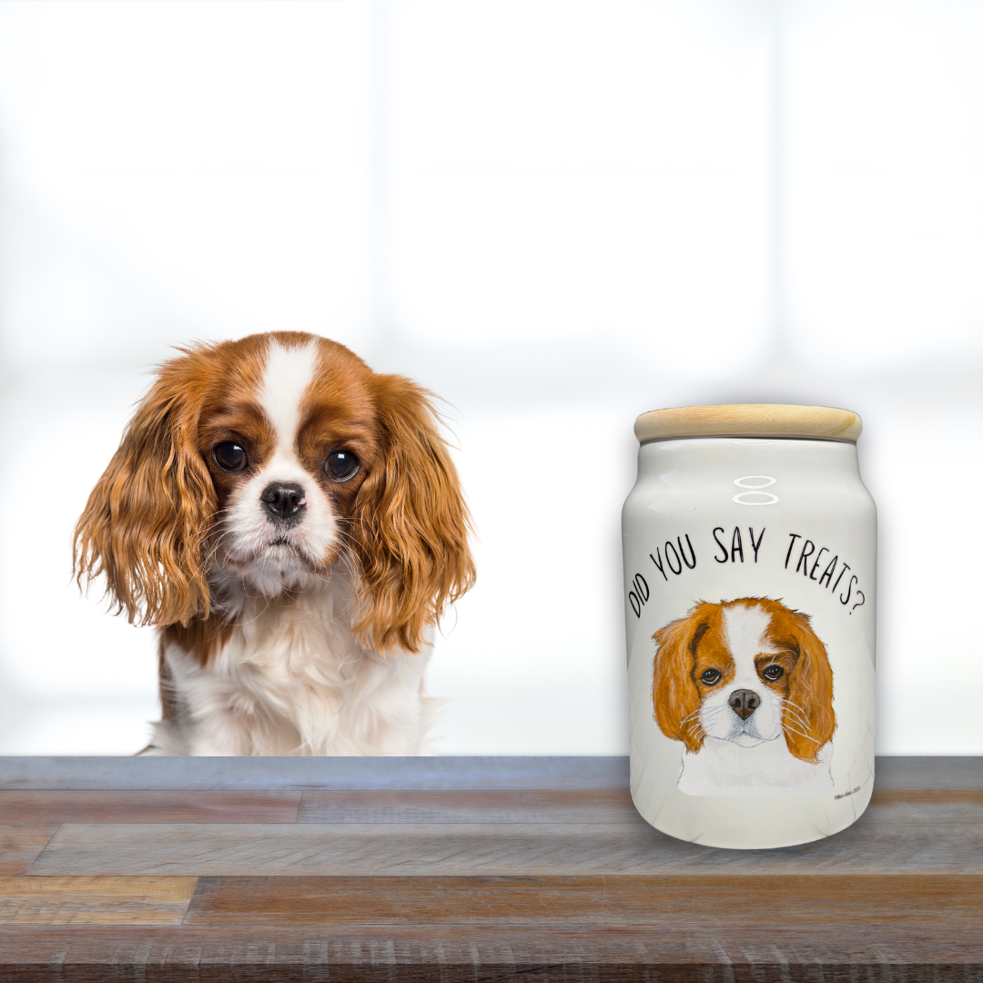 Royal Ceramic Treat Jar for Dogs