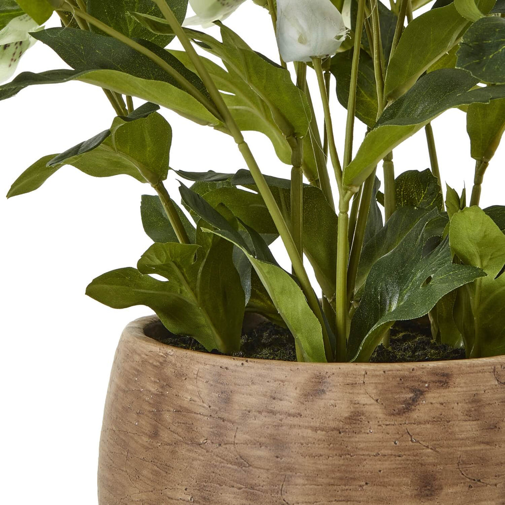 Lifelike faux hellebore plant in vibrant green with realistic petals and leaves, potted in elegant taupe ceramic container. by Sostter at brixbailey.com
