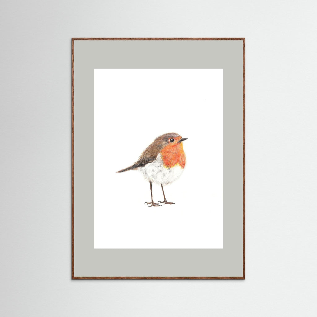 Robin Art Print Wildlife Wall Art for Nature Lovers