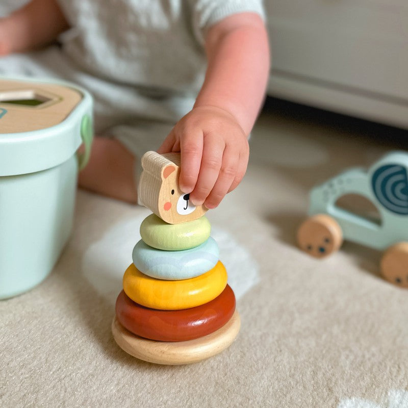 a child's hand pushing the wooden elephant on wheels from the 3in1 toy box set