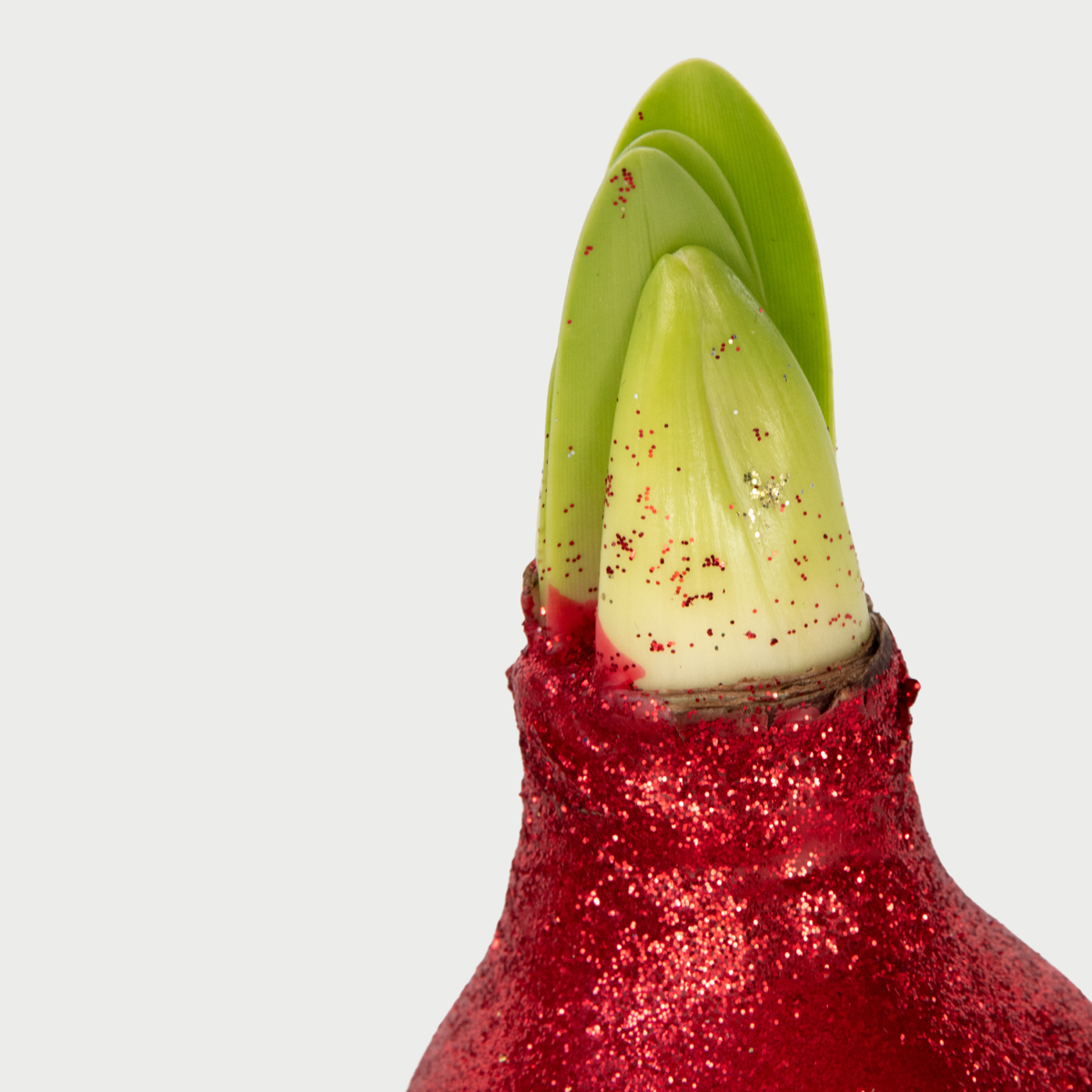 Red Amaryllis Glitter Bulbs Set of 3