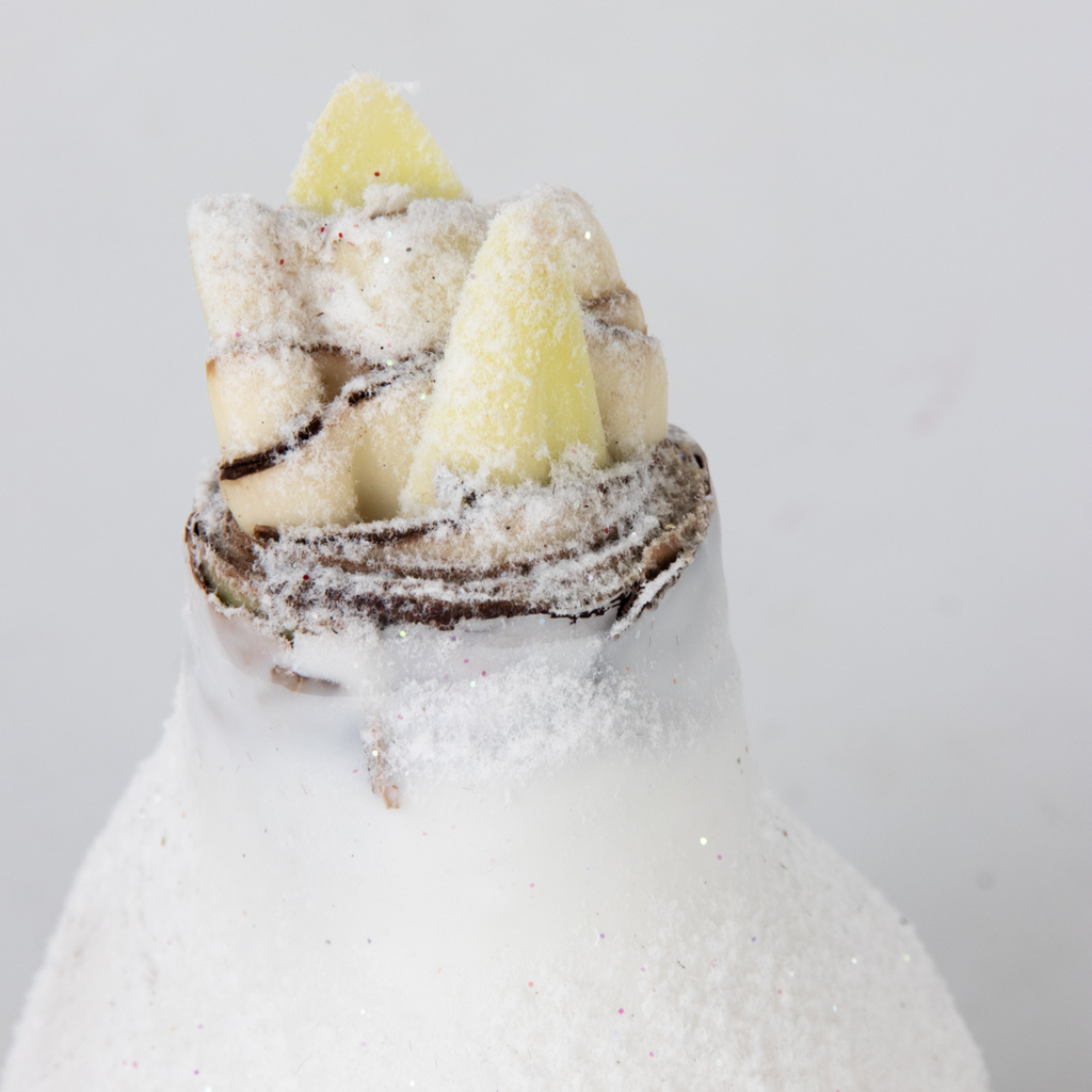 Wax Snow Mix Amaryllis Flower Bulb Red