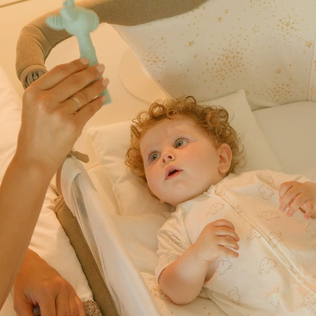 Giraffe Silicone Teether Ring for Babies