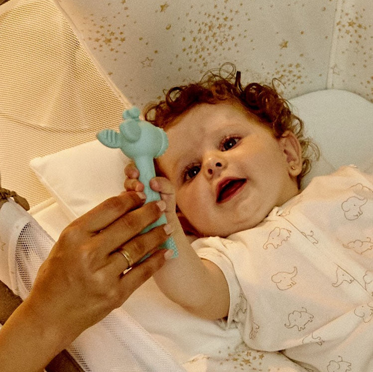 Giraffe Silicone Teether Ring for Babies