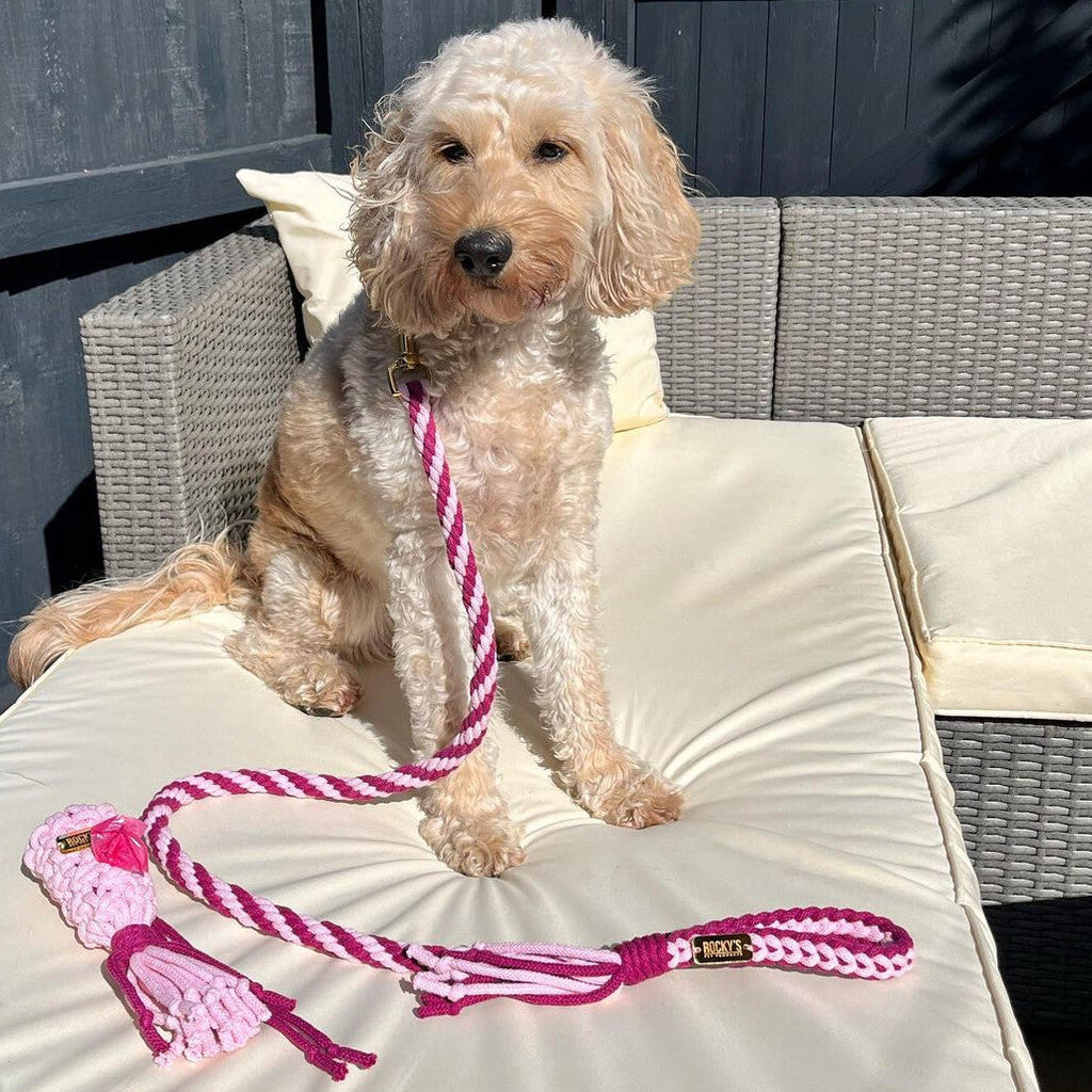 Make Your Own Dog Lead Craft Kit in Pink