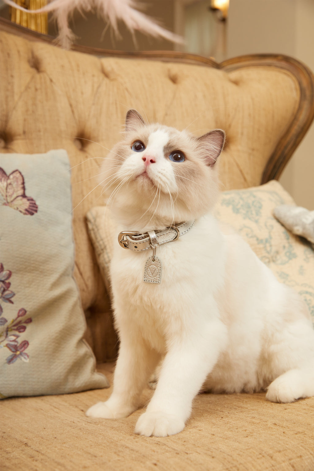 Gloss Collar in Rose and Silver