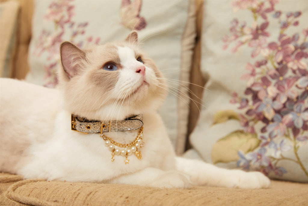 Silver Glitter Collar with Pearl Detail