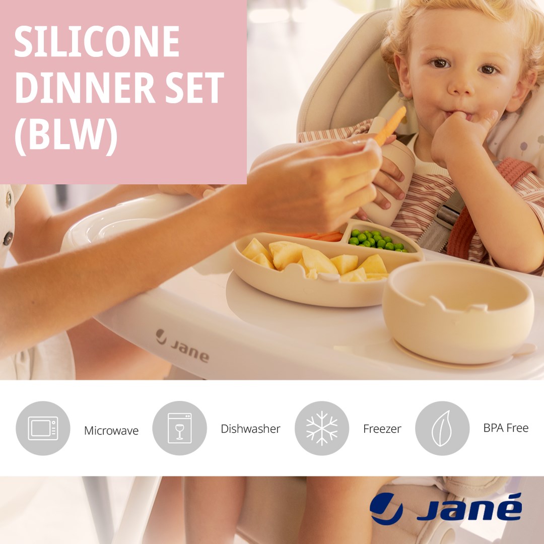 Silicone Bowl and Spoon Set for Baby's First Meals