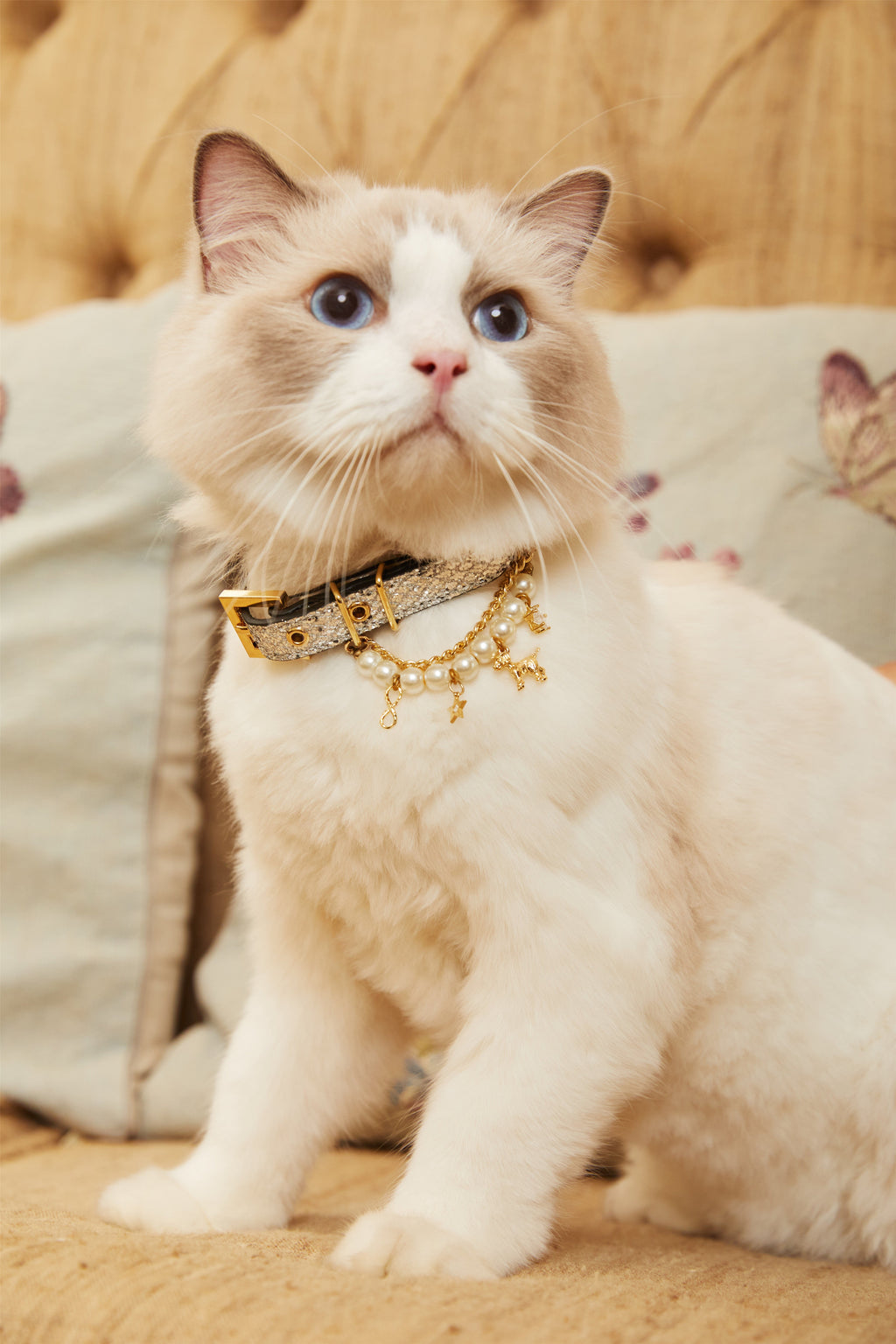 Silver Glitter Collar with Pearl Detail